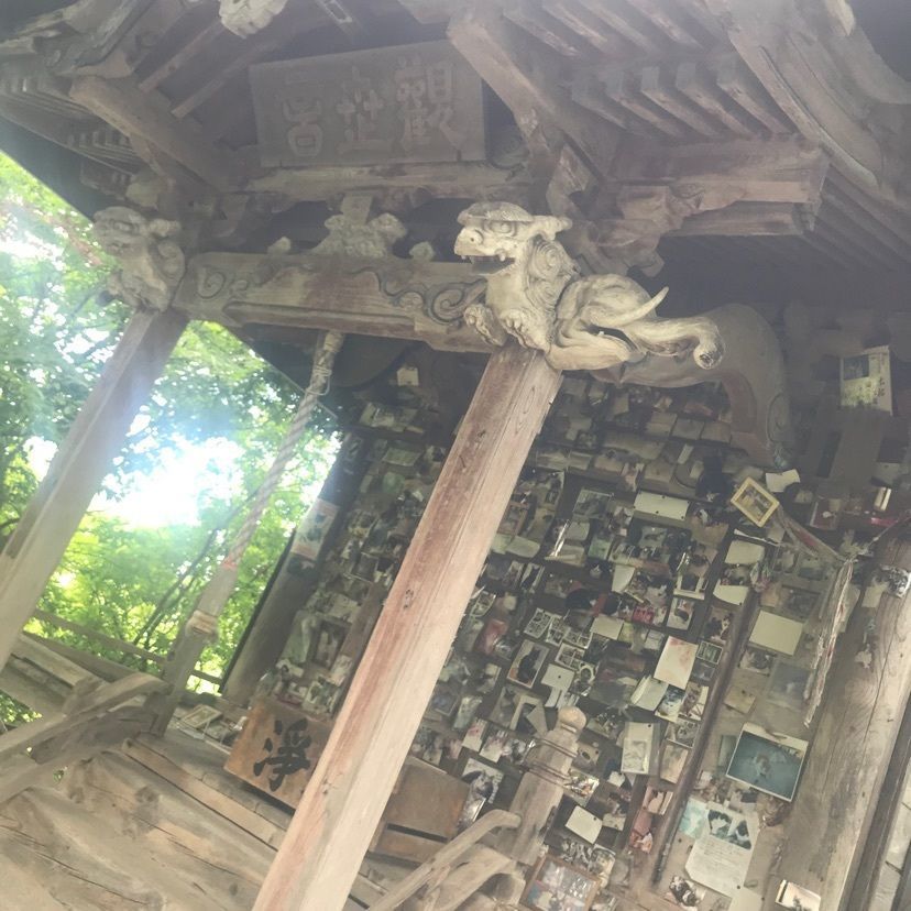 猫なぎ。さんが投稿した猫の宮に関する口コミの画像