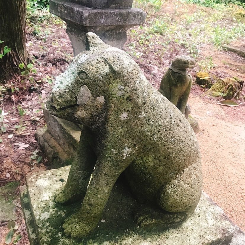 猫なぎ。さんが投稿した犬の宮に関する口コミの画像