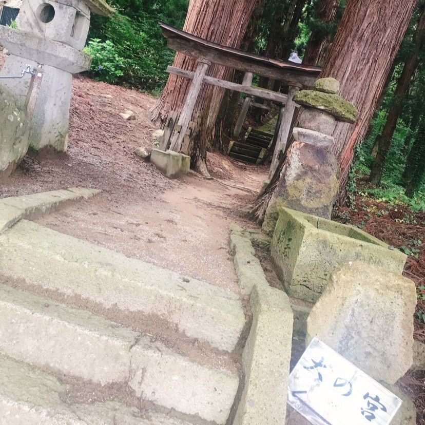 猫なぎ。さんが投稿した犬の宮に関する口コミの画像