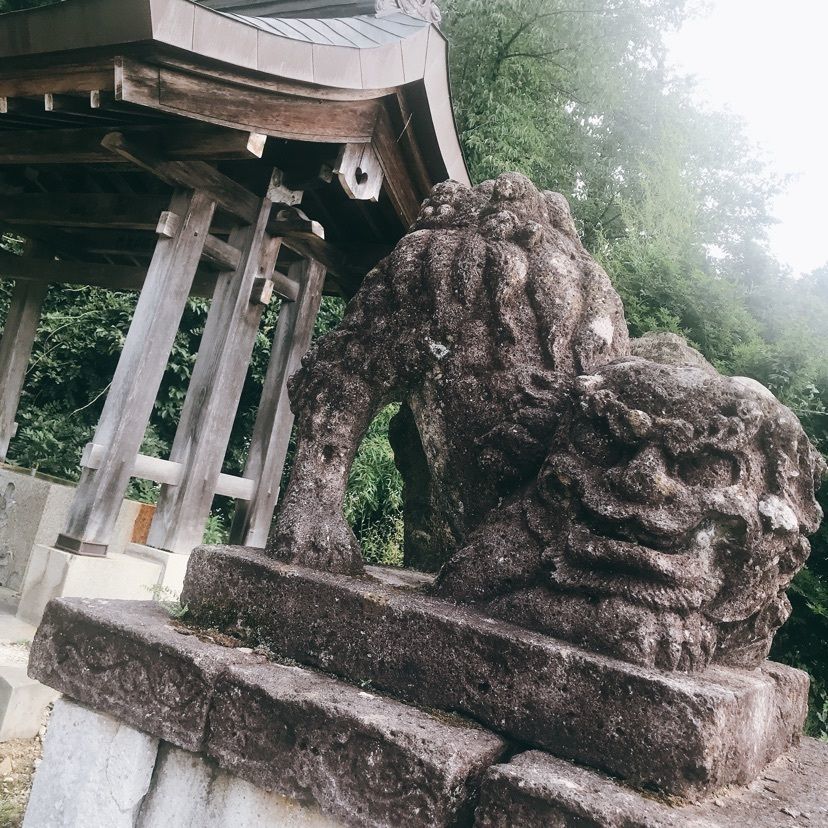 猫なぎ。さんが投稿した亀岡文殊堂に関する口コミの画像
