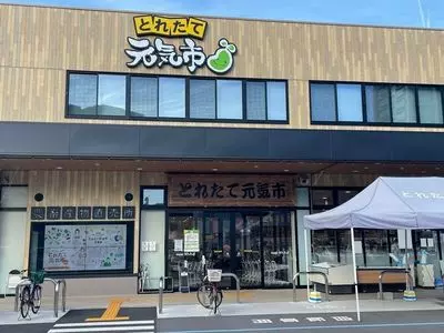とれたて元気市