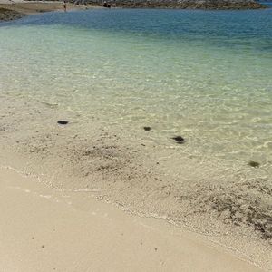 クリード西原マリンパーク 1枚目