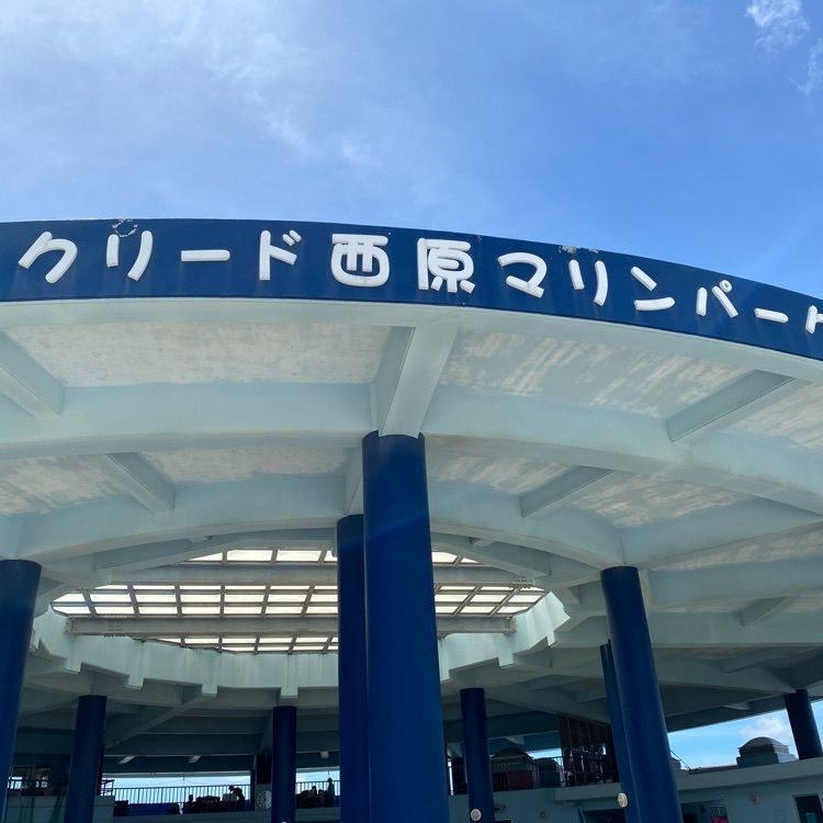 Rhapsodyさんが投稿したクリード西原マリンパークに関する口コミの画像