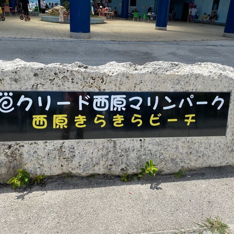 Rhapsodyさんが投稿したクリード西原マリンパークに関する口コミの画像