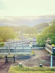 平安の風わたる公園