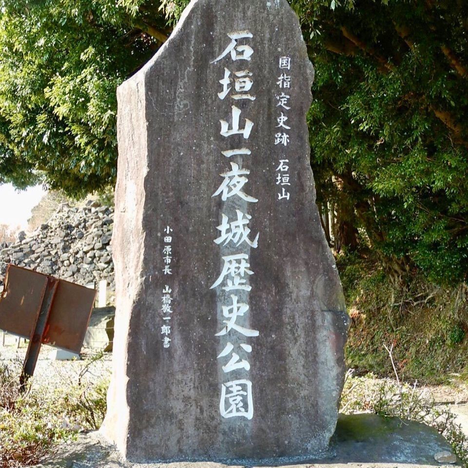 りゅうぽんの画像