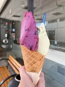 イルクルソーレ（il cursore）