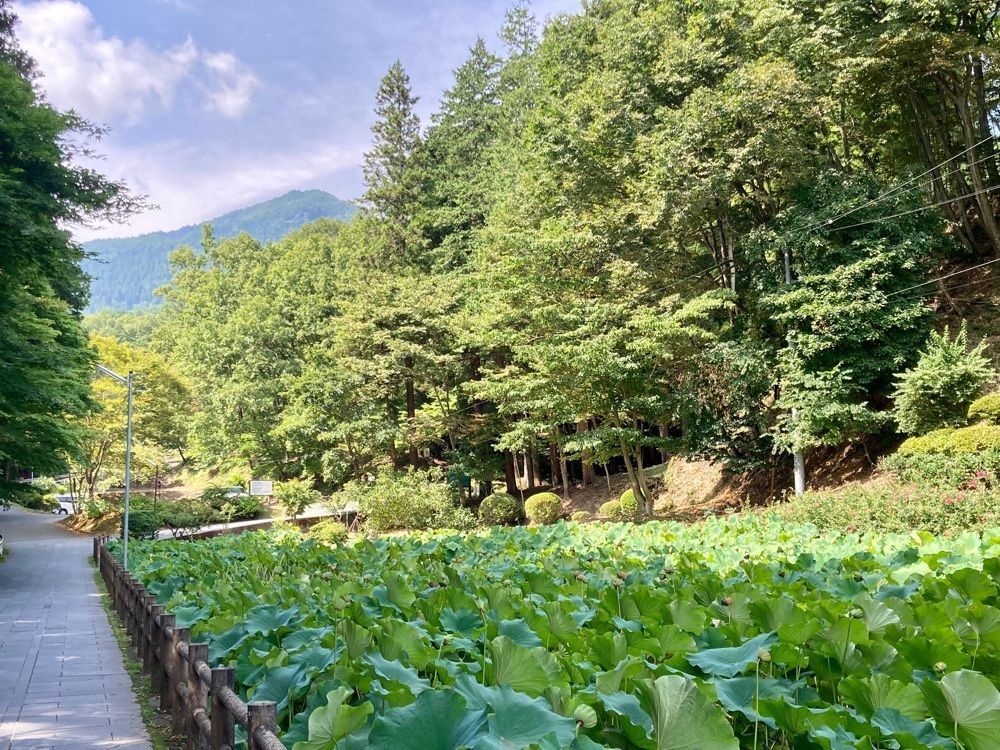 めがゆさんが投稿した安楽寺八角三重塔に関する口コミの画像