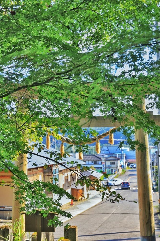 まさまさ　さまさんが投稿したみやぎ蔵王白石に関する口コミの画像