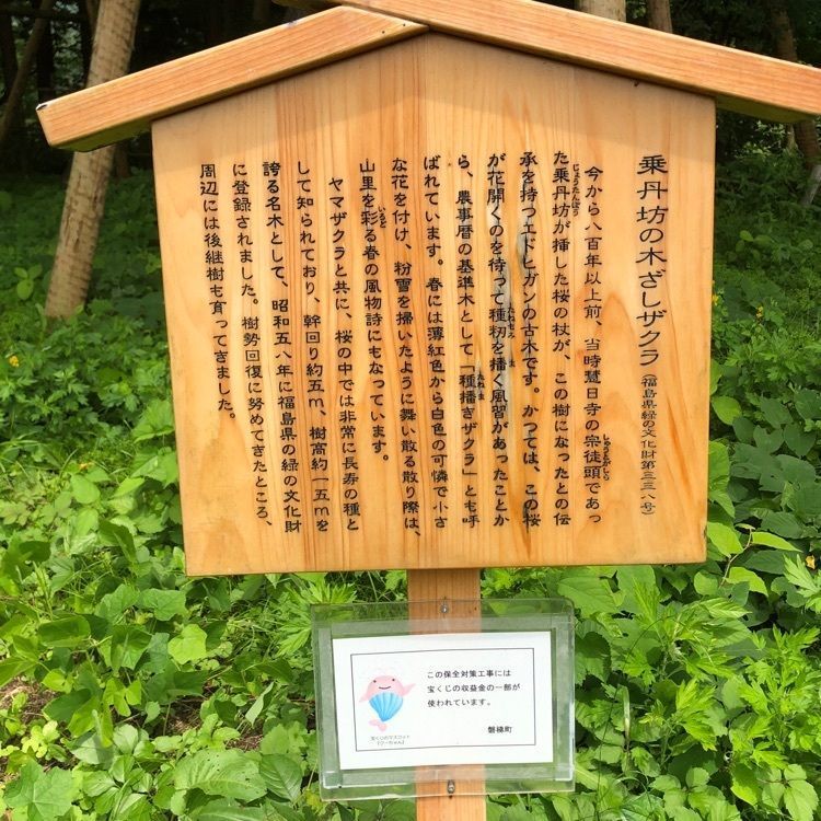choco mintさんが投稿した磐梯山慧日寺資料館に関する口コミの画像