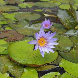 あおいパーク 2枚目