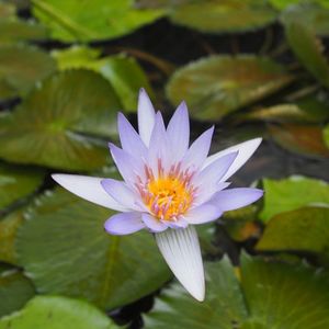 あおいパーク 3枚目