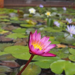 あおいパーク 4枚目