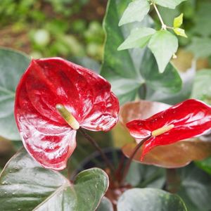 あおいパーク 5枚目