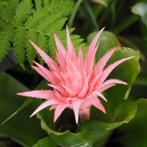 あおいパーク 6枚目