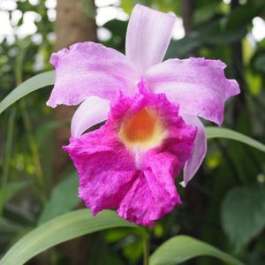 あおいパーク 7枚目