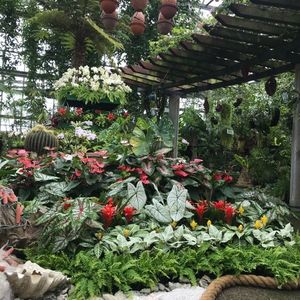 あおいパーク 8枚目