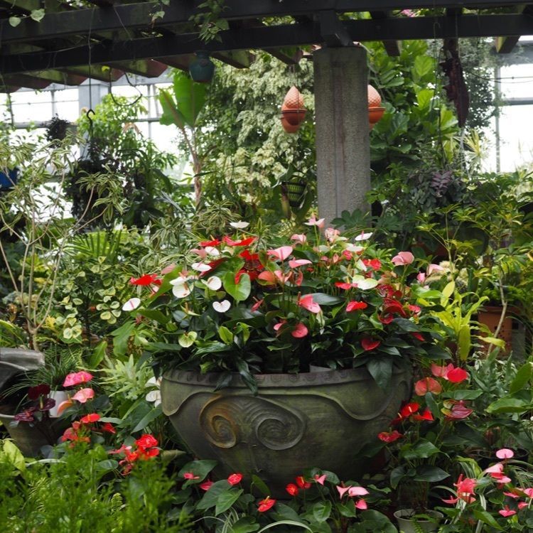 なおなおさんが投稿したあおいパークに関する口コミの画像