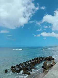 宮城海岸