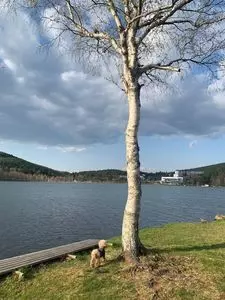 白樺湖温泉すずらんの湯