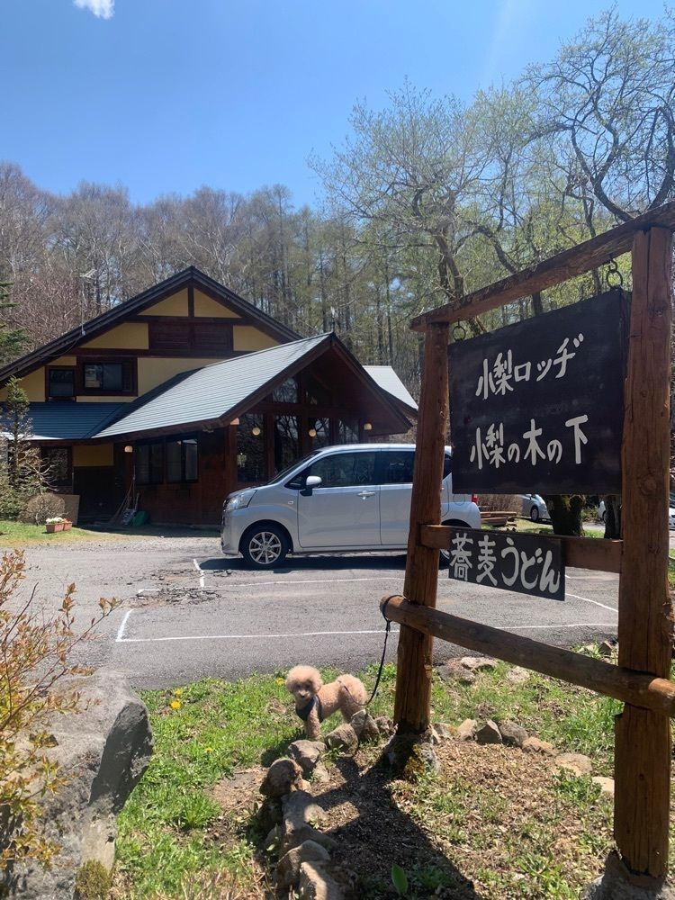 ティンクとハムさんが投稿した小梨の木の下に関する口コミの画像