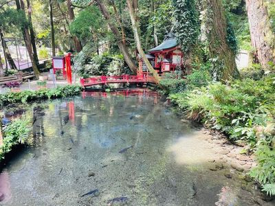 唐船峡 そうめん流し 4枚目