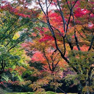 東福寺