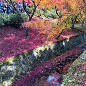 東福寺