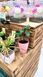 イトーヨーカドー 大宮宮原店