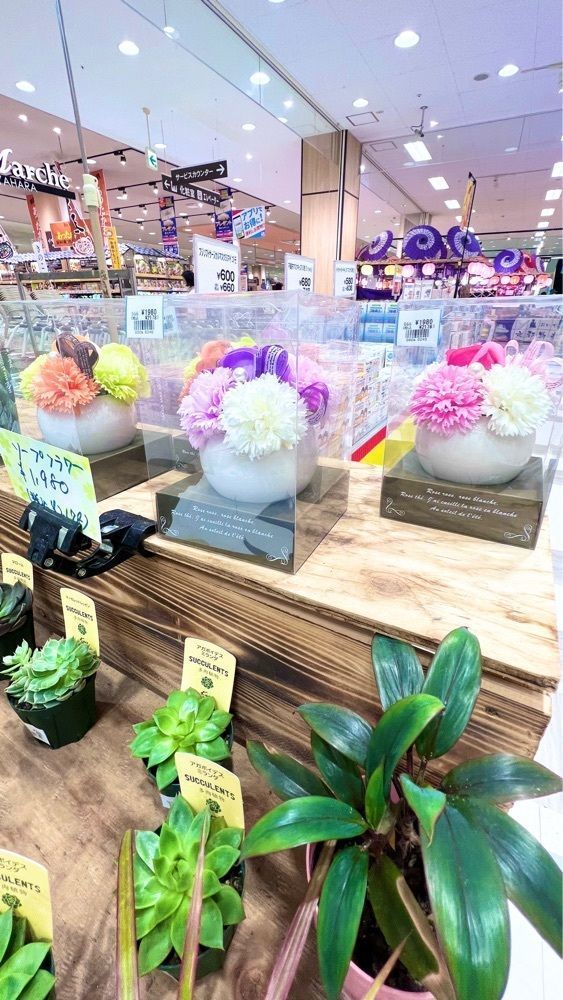 miiさんが投稿したイトーヨーカドー 大宮宮原店に関する口コミの画像