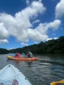マングローブ原生林 3枚目