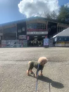 宝登山ロープウェイ
