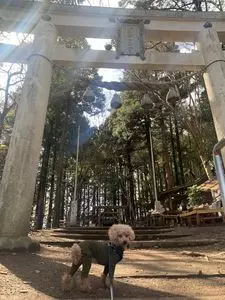 宝登山山頂駅