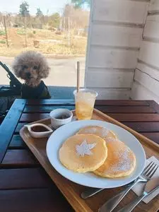 メープルベース（MAPLE BASE）