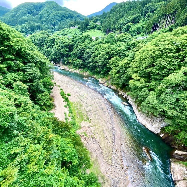 Satoshi.Nさんが投稿した阿賀川に関する口コミの画像