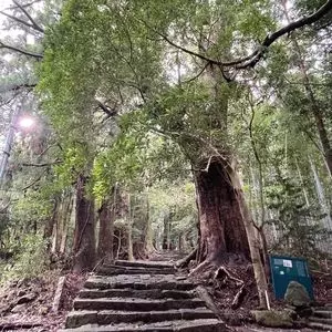 熊野古道大門坂