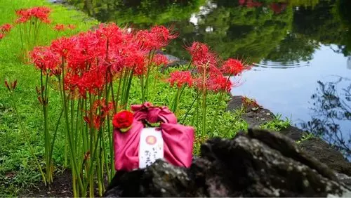 神田上水跡（小石川後楽園）