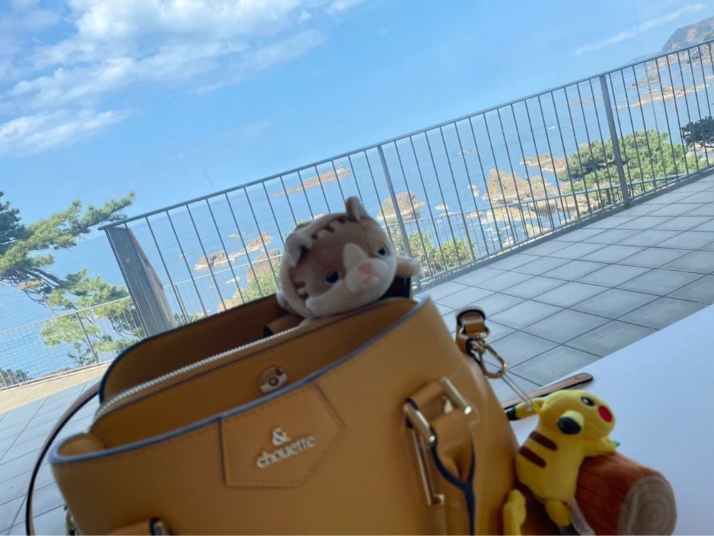 ぼんじり🐨さんが投稿した銀花に関する口コミの画像