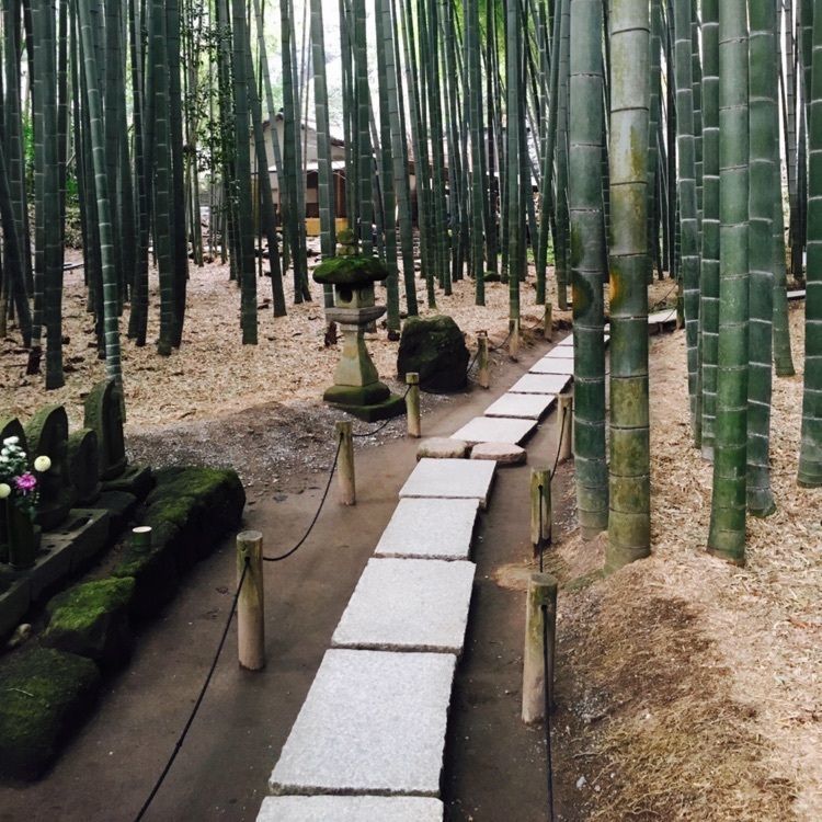 ねるの画像