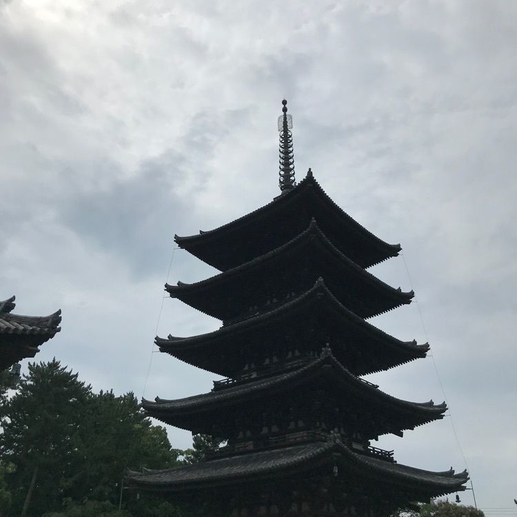 けんちゃん1973さんが投稿した興福寺東金堂に関する口コミの画像