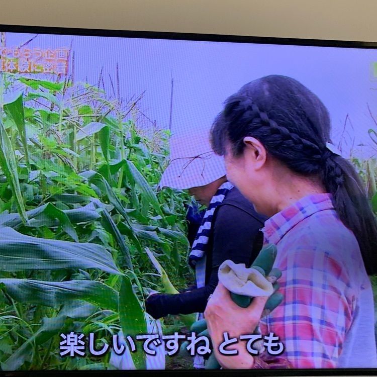 chou chou tabiさんが投稿したsato kitchen（サト キッチン）に関する口コミの画像