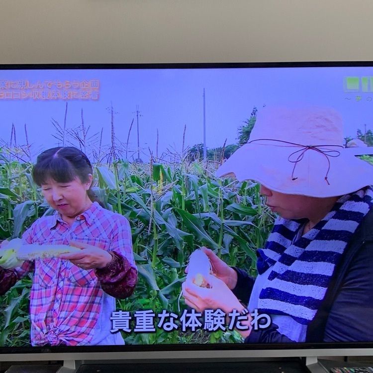chou chou tabiさんが投稿したsato kitchen（サト キッチン）に関する口コミの画像