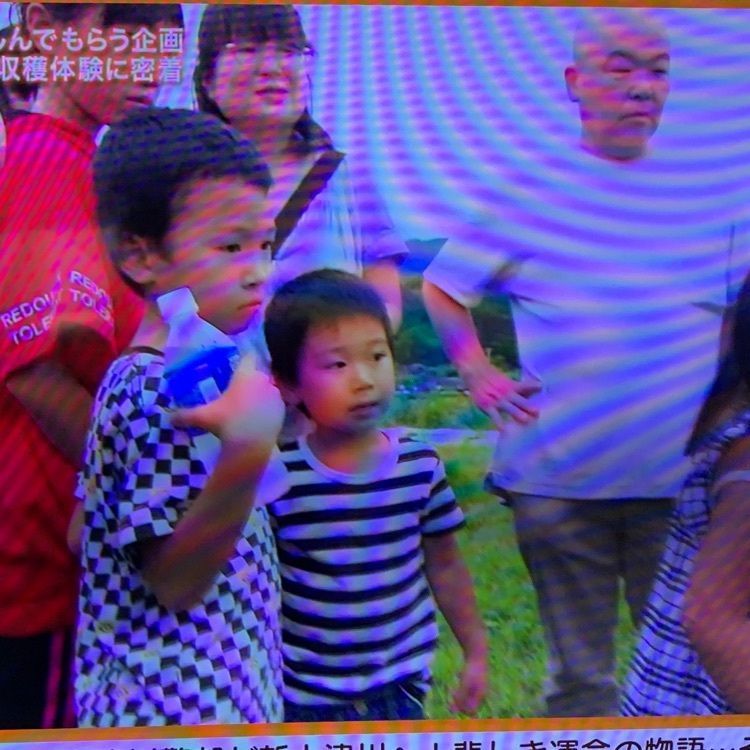 chou chou tabiさんが投稿したsato kitchen（サト キッチン）に関する口コミの画像