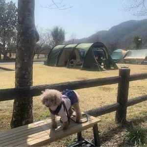 出会いの森オートキャンプ場