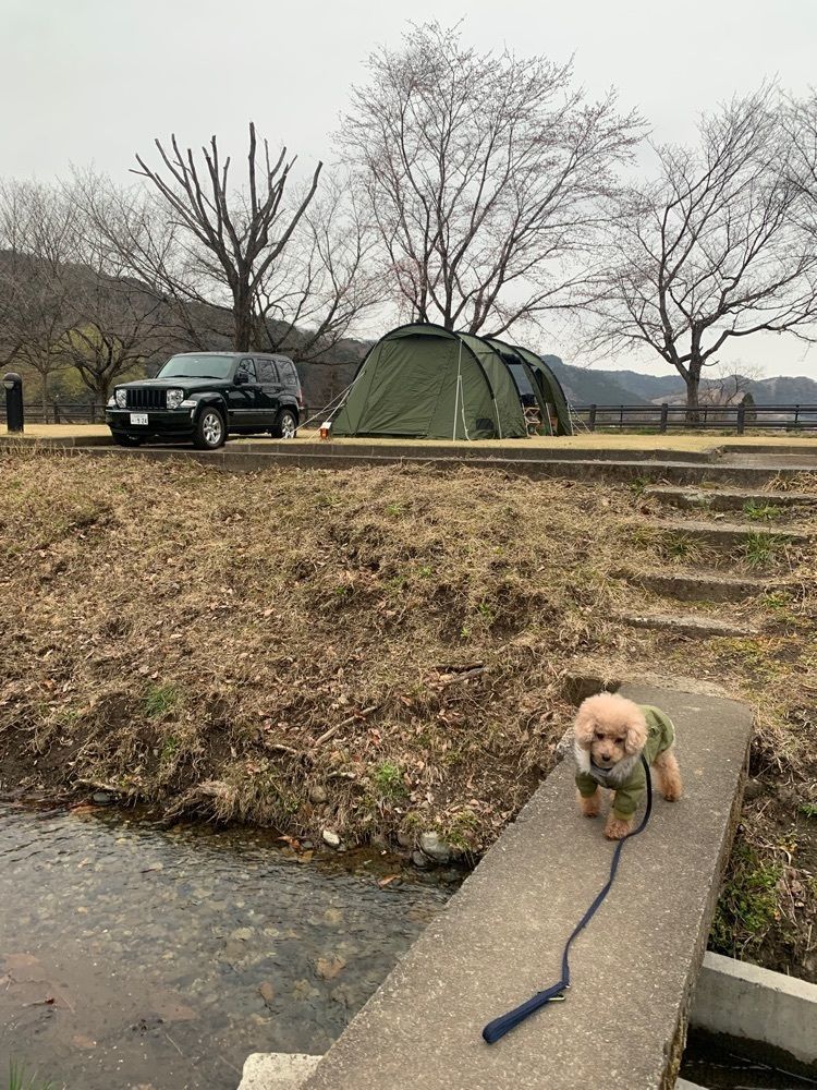 ティンクとハムさんが投稿した出会いの森オートキャンプ場に関する口コミの画像