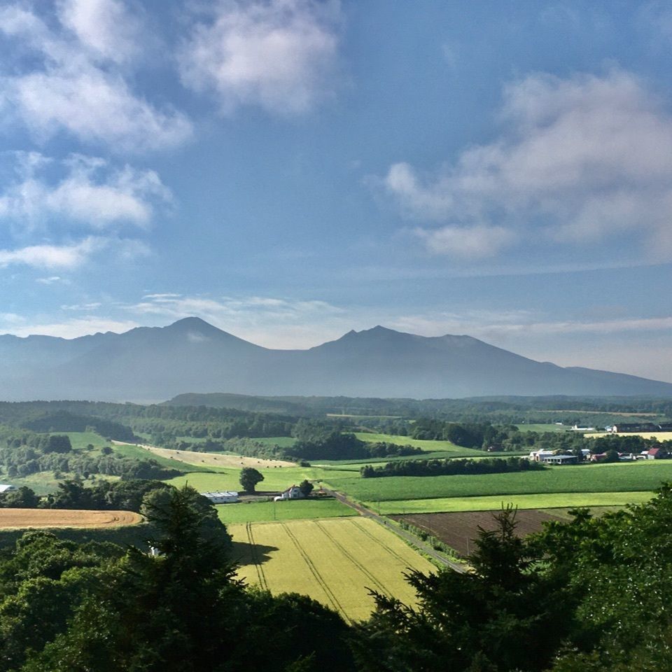 yoshiさんが投稿した日の出公園展望台に関する口コミの画像