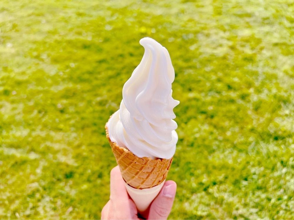 sochipipi_gourmet.jpさんが投稿したソフトクリーム工房LuLu（ルル）に関する口コミの画像