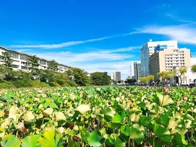 千秋公園