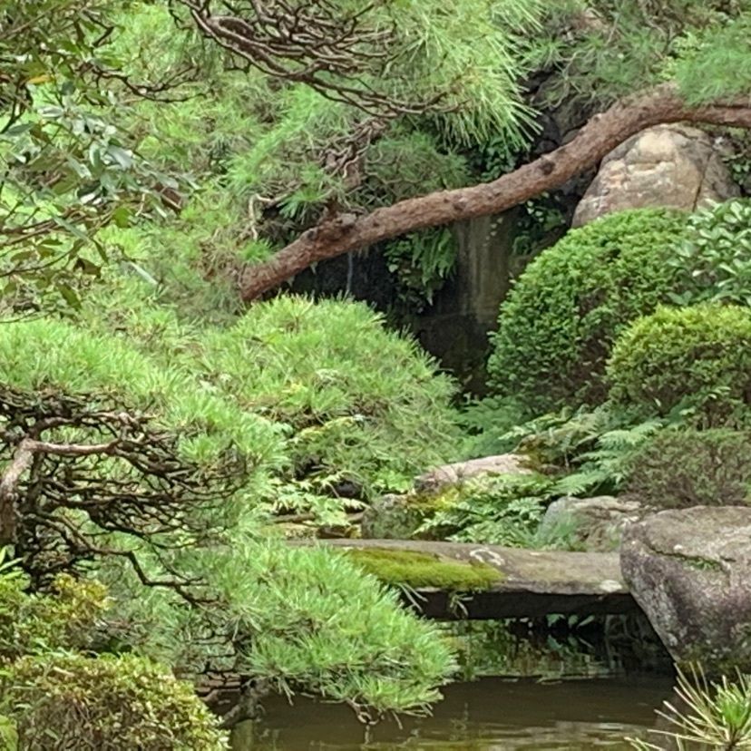tom_takedaさんが投稿した葛飾区山本亭に関する口コミの画像