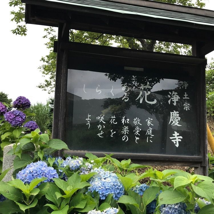 MICHIさんが投稿した柿生駅に関する口コミの画像